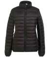 BK486 2413 Brook Taverner Ladies Venice Core Padded Jacket Black colour image
